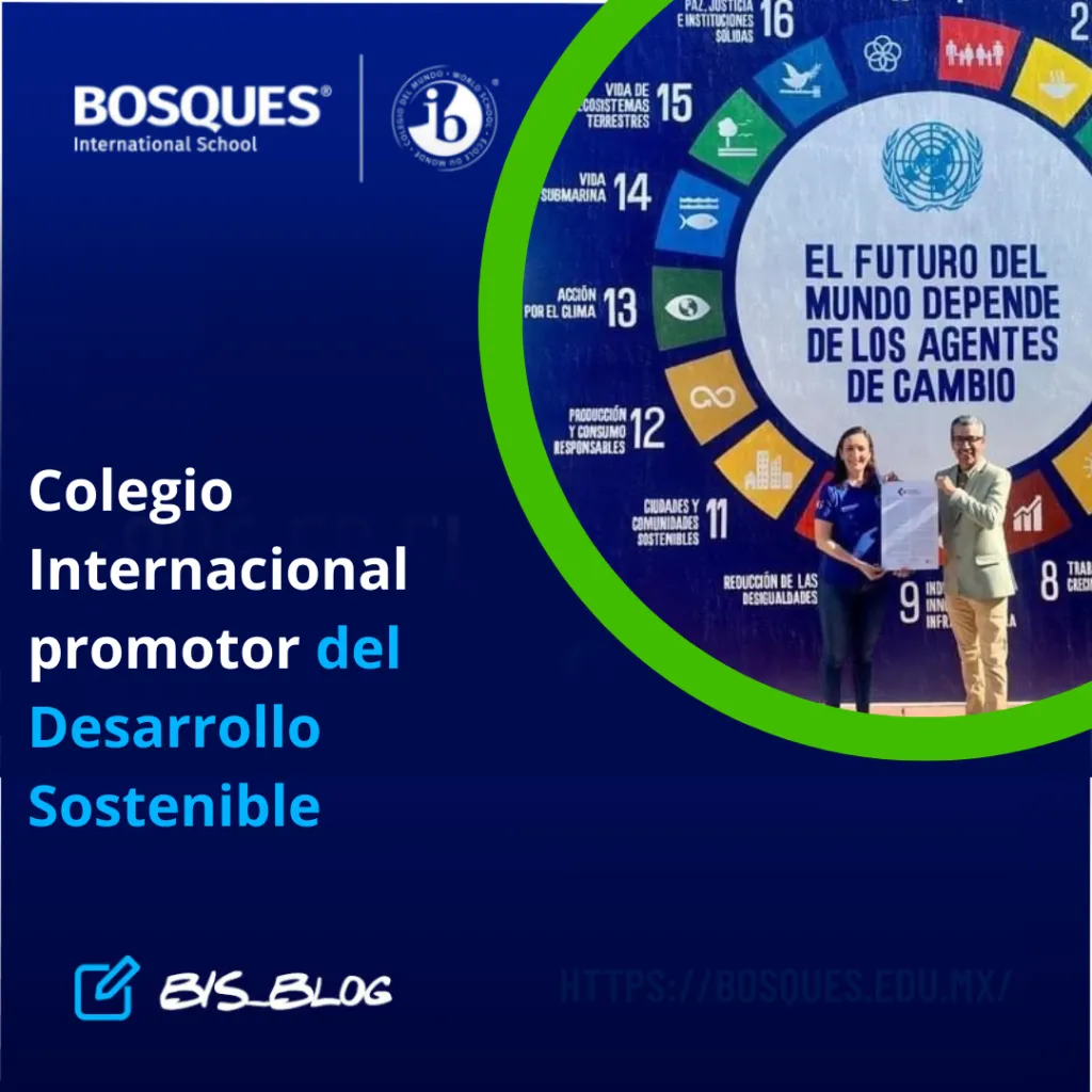 Colegio Internacional promotor del Desarrollo Sostenible